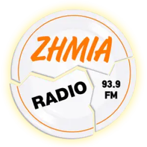Ζημιά 93.9